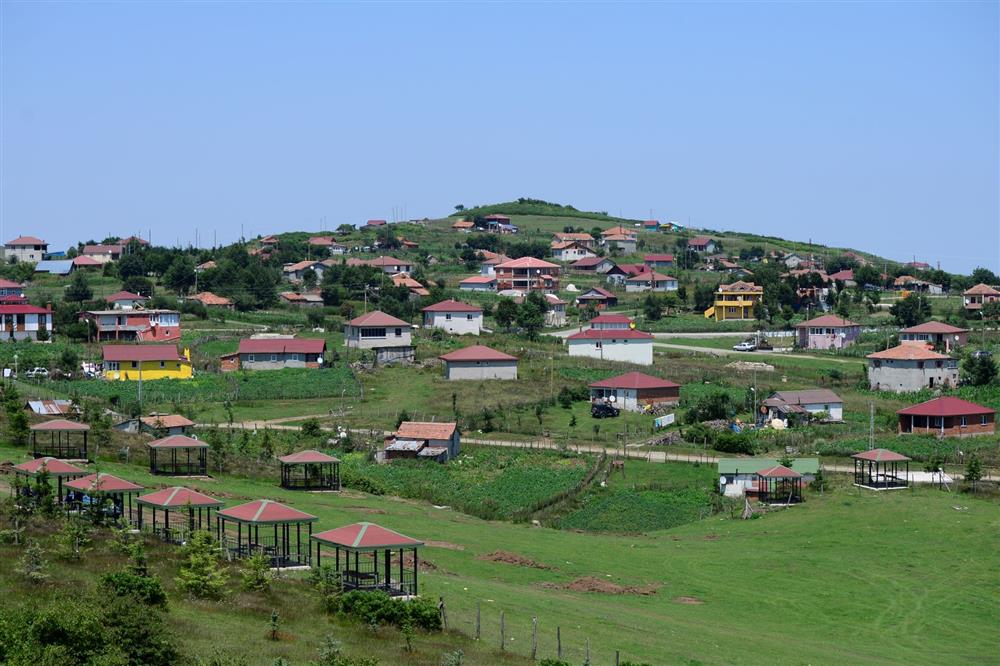 Düzoba Yaylası