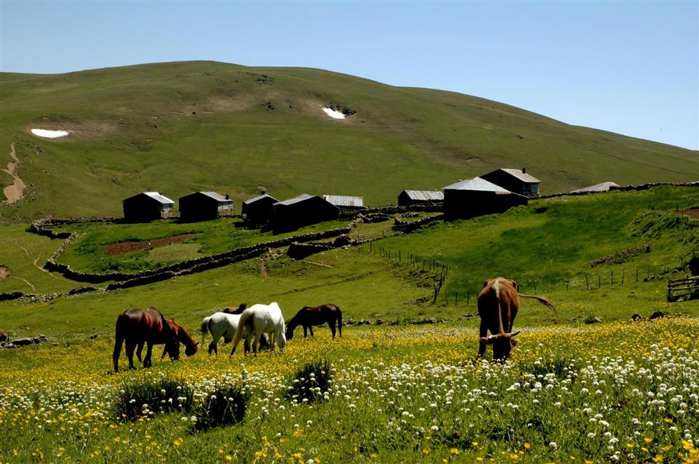 Keyfalan Yaylası