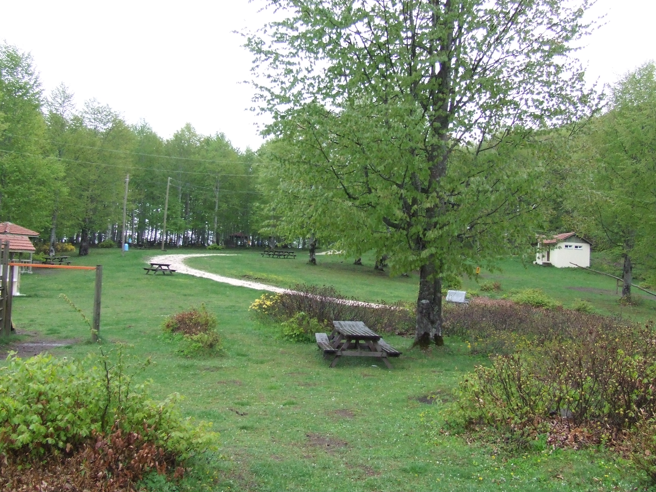 Toygar (Kabaktepe) Yaylası