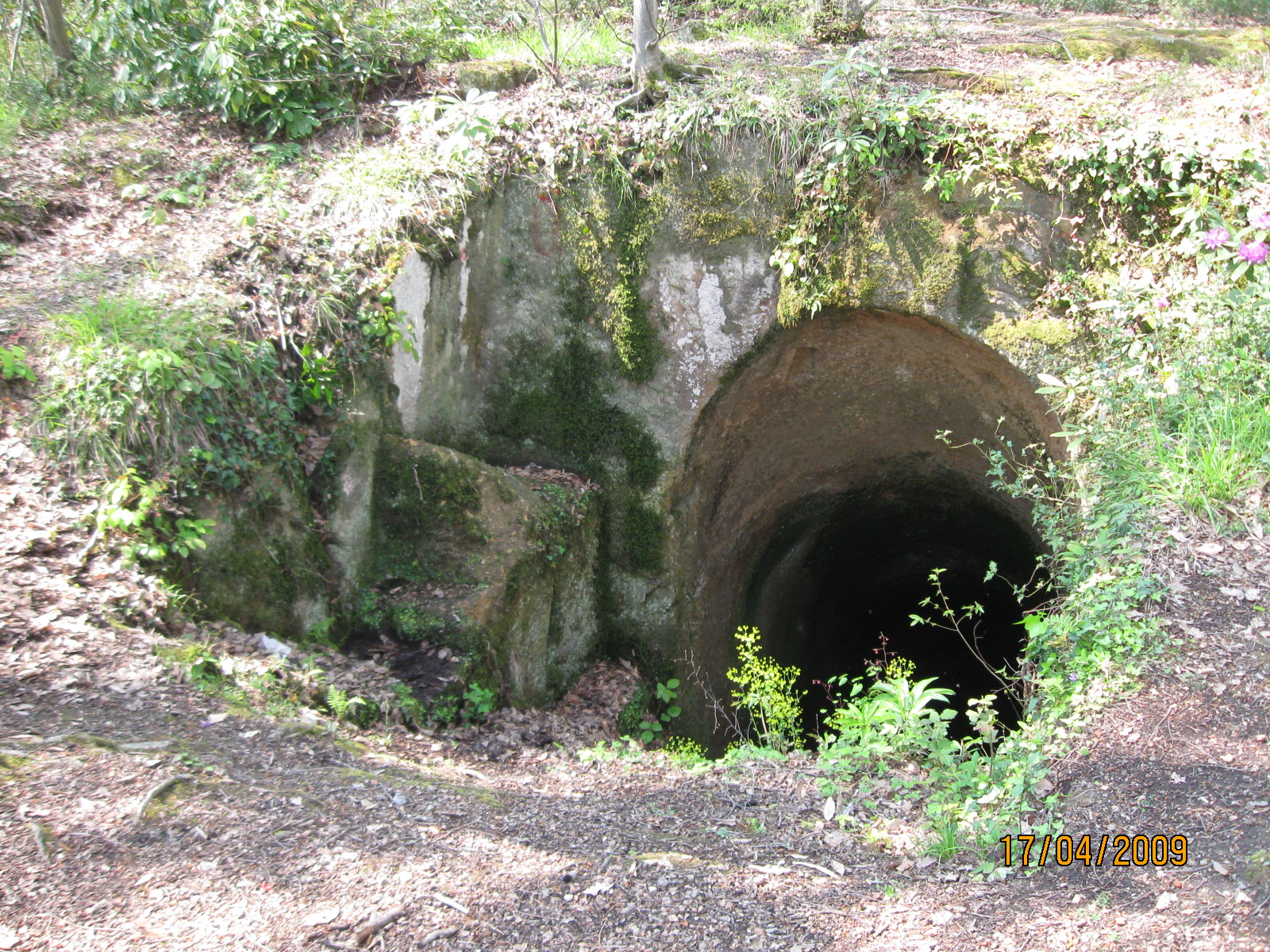 Cıngırt Kalesi